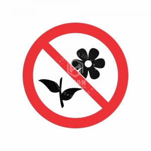 Cấm hái hoa